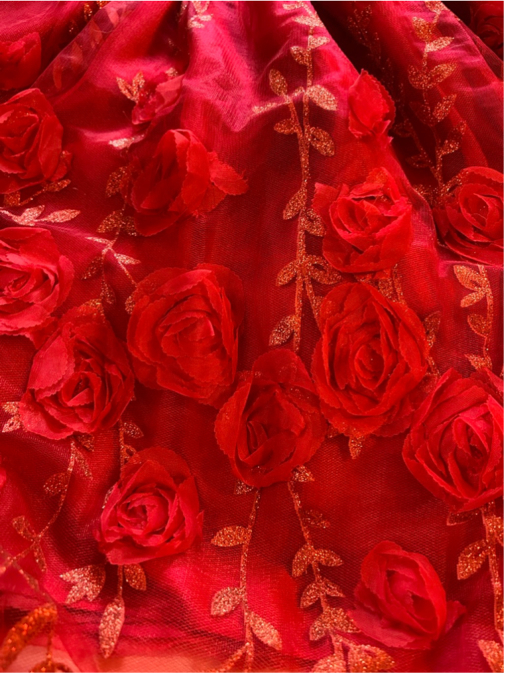 Blueberi Boulevard Black And Red Velvet And Tulle With 3d Roses Dress Size 14 - Picture 4 of 6